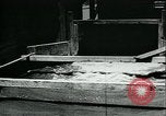 Standbild Bewässerung land San Joaquin Valley California USA, 1918, aus Sekunde 27 historischem Filmmaterial Videoclip 65675069479