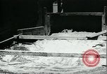 Standbild Bewässerung land San Joaquin Valley California USA, 1918, aus Sekunde 30 historischem Filmmaterial Videoclip 65675069479