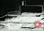 Standbild Bewässerung land San Joaquin Valley California USA, 1918, aus Sekunde 31 historischem Filmmaterial Videoclip 65675069479