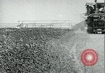 Standbild Bewässerung land San Joaquin Valley California USA, 1918, aus Sekunde 54 historischem Filmmaterial Videoclip 65675069479