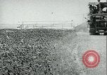 Standbild Bewässerung land San Joaquin Valley California USA, 1918, aus Sekunde 55 historischem Filmmaterial Videoclip 65675069479