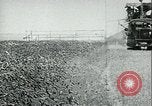 Standbild Bewässerung land San Joaquin Valley California USA, 1918, aus Sekunde 56 historischem Filmmaterial Videoclip 65675069479