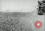 Standbild Bewässerung land San Joaquin Valley California USA, 1918, aus Sekunde 59 historischem Filmmaterial Videoclip 65675069479