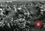 Standbild United States Frauen Ernte Weintrauben Florin California USA, 1918, aus Sekunde 26 historischem Filmmaterial Videoclip 65675069480