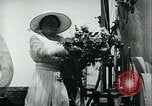 Standbild Werft Hingabe Oakland California USA, 1918, aus Sekunde 42 historischem Filmmaterial Videoclip 65675069488
