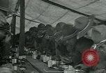 Image of Army soldiers training in the U.S.A. United States USA, 1917, second 58 stock footage video 65675069494