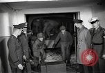 Image of money burnt Germany, 1958, second 51 stock footage video 65675069498