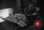 Image of money burnt Germany, 1958, second 36 stock footage video 65675069499