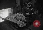 Image of money burnt Germany, 1958, second 38 stock footage video 65675069499