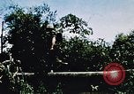 Image of a navy chaplain Vietnam, 1967, second 21 stock footage video 65675069512