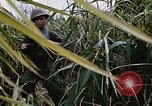 Image of a navy chaplain Vietnam, 1967, second 23 stock footage video 65675069512