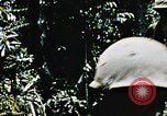 Image of a navy chaplain Vietnam, 1967, second 30 stock footage video 65675069512
