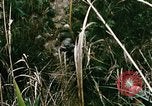 Image of a navy chaplain Vietnam, 1967, second 36 stock footage video 65675069512