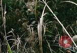 Image of a navy chaplain Vietnam, 1967, second 37 stock footage video 65675069512