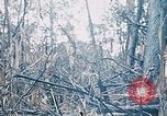 Image of a navy chaplain Vietnam, 1967, second 58 stock footage video 65675069512