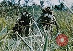 Immagine di Jungle combattere con le pistole di macchina Il Vietnam, 1967, secondo 3 filmato di repertorio 65675069514