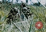 Immagine di Jungle combattere con le pistole di macchina Il Vietnam, 1967, secondo 4 filmato di repertorio 65675069514