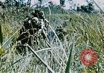 Immagine di Jungle combattere con le pistole di macchina Il Vietnam, 1967, secondo 5 filmato di repertorio 65675069514