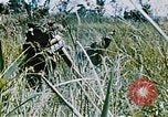 Immagine di Jungle combattere con le pistole di macchina Il Vietnam, 1967, secondo 6 filmato di repertorio 65675069514