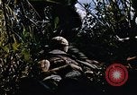 Immagine di Jungle combattere con le pistole di macchina Il Vietnam, 1967, secondo 7 filmato di repertorio 65675069514