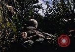 Immagine di Jungle combattere con le pistole di macchina Il Vietnam, 1967, secondo 8 filmato di repertorio 65675069514
