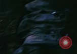 Immagine di Jungle combattere con le pistole di macchina Il Vietnam, 1967, secondo 10 filmato di repertorio 65675069514
