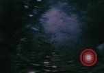 Immagine di Jungle combattere con le pistole di macchina Il Vietnam, 1967, secondo 11 filmato di repertorio 65675069514