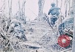 Immagine di Jungle combattere con le pistole di macchina Il Vietnam, 1967, secondo 15 filmato di repertorio 65675069514