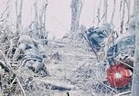 Immagine di Jungle combattere con le pistole di macchina Il Vietnam, 1967, secondo 16 filmato di repertorio 65675069514