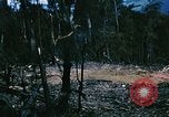 Immagine di Jungle combattere con le pistole di macchina Il Vietnam, 1967, secondo 19 filmato di repertorio 65675069514