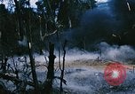 Immagine di Jungle combattere con le pistole di macchina Il Vietnam, 1967, secondo 20 filmato di repertorio 65675069514