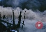 Immagine di Jungle combattere con le pistole di macchina Il Vietnam, 1967, secondo 21 filmato di repertorio 65675069514