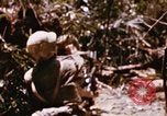 Immagine di Jungle combattere con le pistole di macchina Il Vietnam, 1967, secondo 25 filmato di repertorio 65675069514