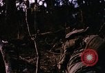 Immagine di Jungle combattere con le pistole di macchina Il Vietnam, 1967, secondo 27 filmato di repertorio 65675069514