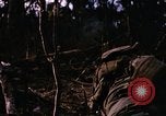 Immagine di Jungle combattere con le pistole di macchina Il Vietnam, 1967, secondo 28 filmato di repertorio 65675069514