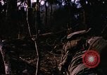 Immagine di Jungle combattere con le pistole di macchina Il Vietnam, 1967, secondo 29 filmato di repertorio 65675069514