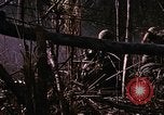 Immagine di Jungle combattere con le pistole di macchina Il Vietnam, 1967, secondo 31 filmato di repertorio 65675069514
