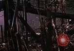 Immagine di Jungle combattere con le pistole di macchina Il Vietnam, 1967, secondo 33 filmato di repertorio 65675069514