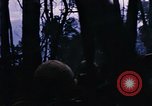 Immagine di Jungle combattere con le pistole di macchina Il Vietnam, 1967, secondo 44 filmato di repertorio 65675069514