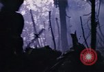 Immagine di Jungle combattere con le pistole di macchina Il Vietnam, 1967, secondo 48 filmato di repertorio 65675069514