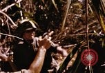 Immagine di Jungle combattere con le pistole di macchina Il Vietnam, 1967, secondo 51 filmato di repertorio 65675069514