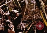 Immagine di Jungle combattere con le pistole di macchina Il Vietnam, 1967, secondo 52 filmato di repertorio 65675069514