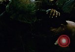 Image of role of navy military chaplain Vietnam, 1967, second 9 stock footage video 65675069515
