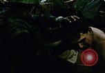 Image of role of navy military chaplain Vietnam, 1967, second 10 stock footage video 65675069515