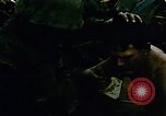 Image of role of navy military chaplain Vietnam, 1967, second 11 stock footage video 65675069515