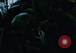 Image of role of navy military chaplain Vietnam, 1967, second 21 stock footage video 65675069515