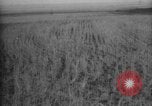 Image of Works Progress Administration United States USA, 1937, second 14 stock footage video 65675069523