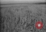 Image of Works Progress Administration United States USA, 1937, second 15 stock footage video 65675069523