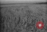 Image of Works Progress Administration United States USA, 1937, second 16 stock footage video 65675069523