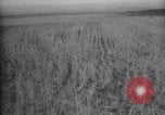 Image of Works Progress Administration United States USA, 1937, second 17 stock footage video 65675069523